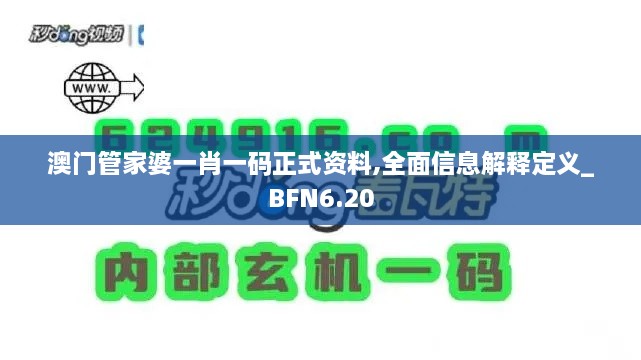 澳门管家婆一肖一码正式资料,全面信息解释定义_BFN6.20