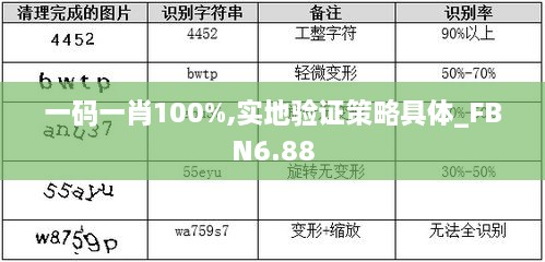 一码一肖100%,实地验证策略具体_FBN6.88