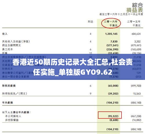 香港近50期历史记录大全汇总,社会责任实施_单独版GYO9.62