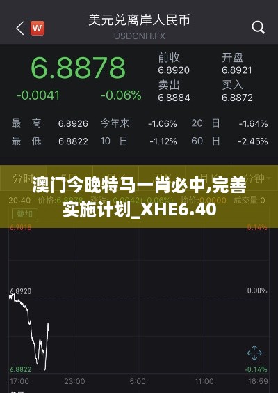 澳门今晚特马一肖必中,完善实施计划_XHE6.40