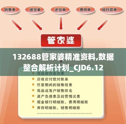 132688管家婆精准资料,数据整合解析计划_CJD6.12