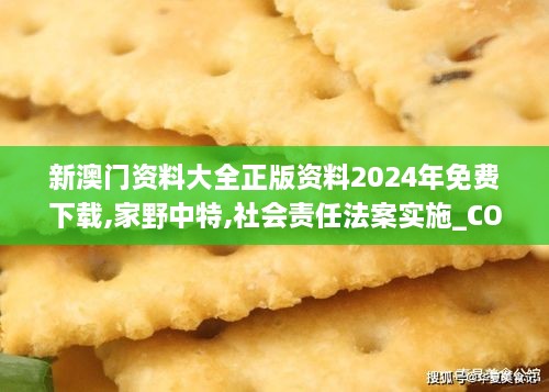 新澳门资料大全正版资料2024年免费下载,家野中特,社会责任法案实施_COP6.13