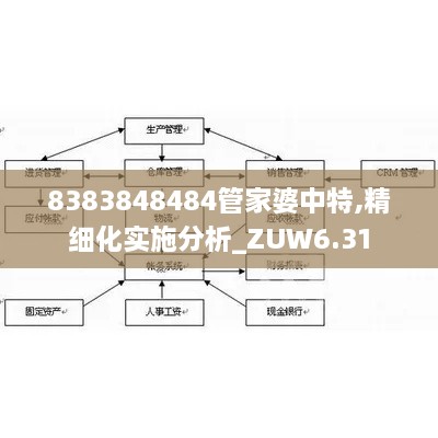 8383848484管家婆中特,精细化实施分析_ZUW6.31