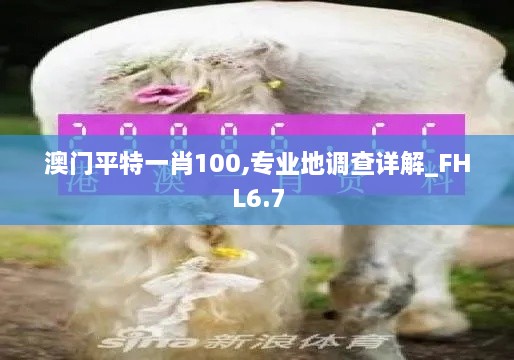 澳门平特一肖100,专业地调查详解_FHL6.7