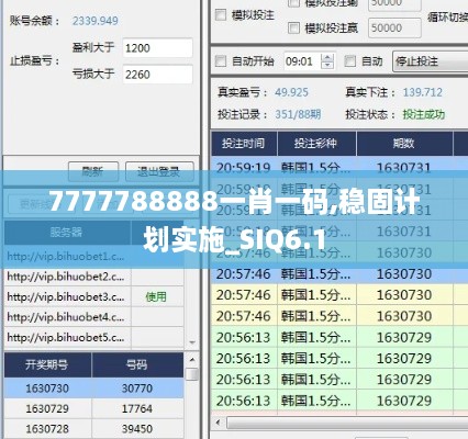 7777788888一肖一码,稳固计划实施_SIQ6.1