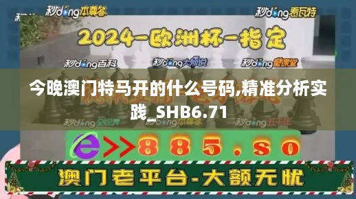 今晚澳门特马开的什么号码,精准分析实践_SHB6.71