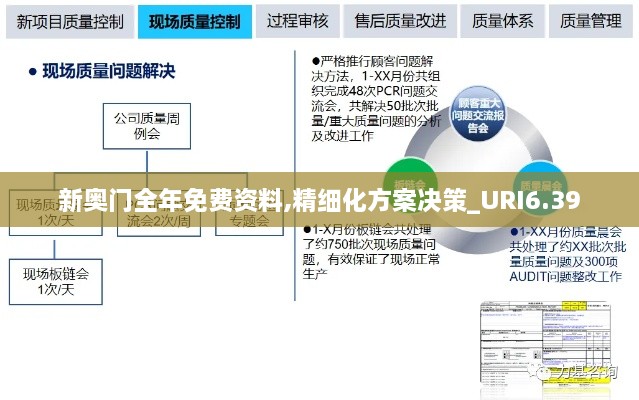 新奥门全年免费资料,精细化方案决策_URI6.39