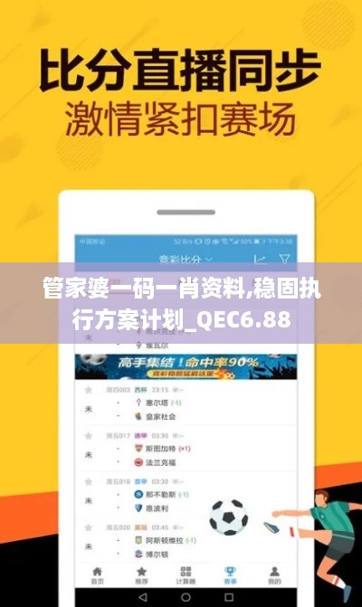 管家婆一码一肖资料,稳固执行方案计划_QEC6.88