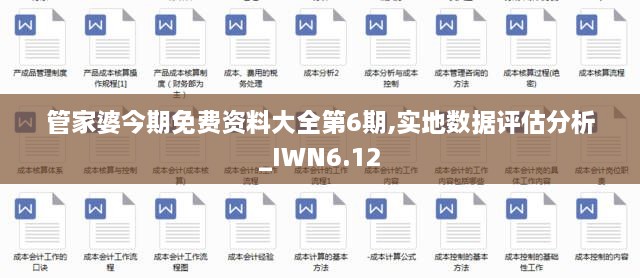 管家婆今期免费资料大全第6期,实地数据评估分析_IWN6.12