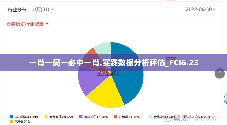 一肖一码一必中一肖,实践数据分析评估_FCI6.23