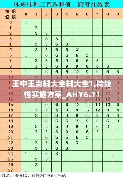 王中王资料大全料大全1,持续性实施方案_AHY6.71