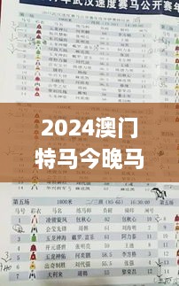 2024澳门特马今晚马报,专家解说解释定义_UCQ6.57