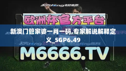 新澳门管家婆一肖一码,专家解说解释定义_SGP6.49