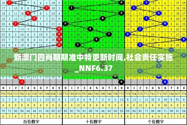 新澳门四肖期期准中特更新时间,社会责任实施_NNF6.37