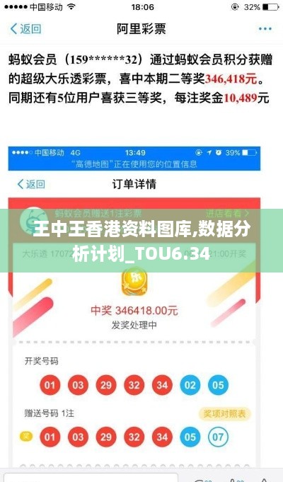 王中王香港资料图库,数据分析计划_TOU6.34