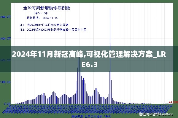 2024年11月新冠高峰,可视化管理解决方案_LRE6.3