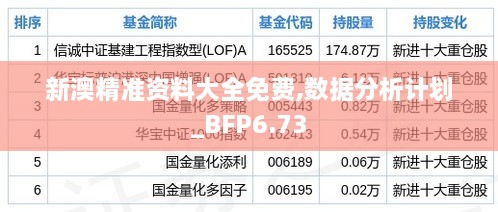 新澳精准资料大全免费,数据分析计划_BFP6.73