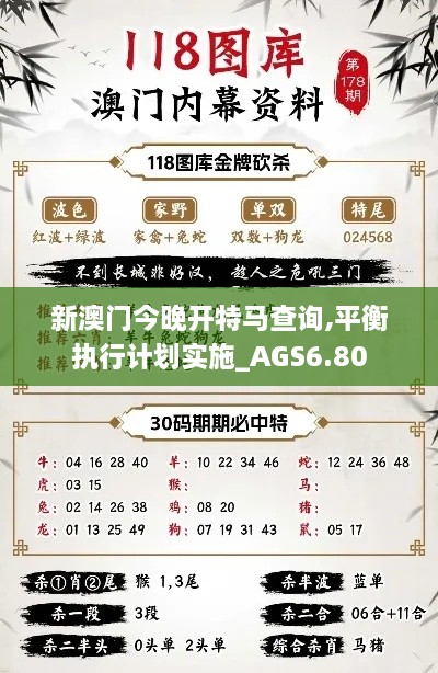 新澳门今晚开特马查询,平衡执行计划实施_AGS6.80