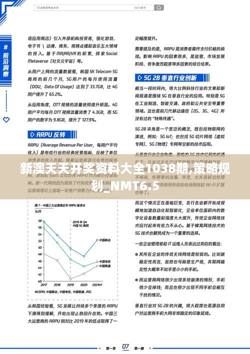 新澳天天开奖资料大全1038期,策略规划_NMT6.5