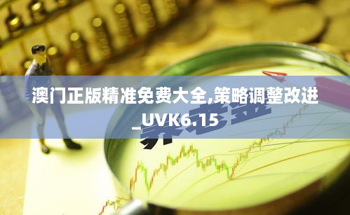 澳门正版精准免费大全,策略调整改进_UVK6.15