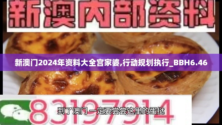 新澳门2024年资料大全宫家婆,行动规划执行_BBH6.46