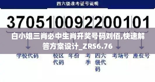 白小姐三肖必中生肖开奖号码刘佰,快速解答方案设计_ZRS6.76