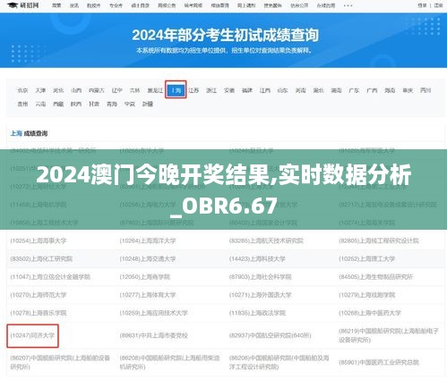 2024澳门今晚开奖结果,实时数据分析_OBR6.67