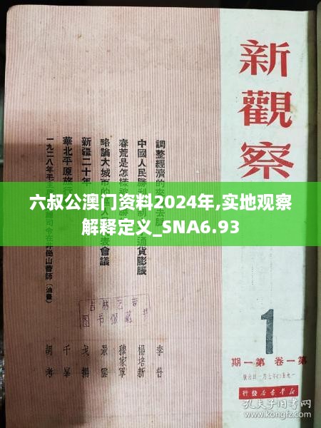 六叔公澳门资料2024年,实地观察解释定义_SNA6.93