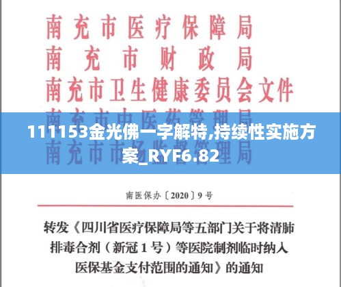 111153金光佛一字解特,持续性实施方案_RYF6.82