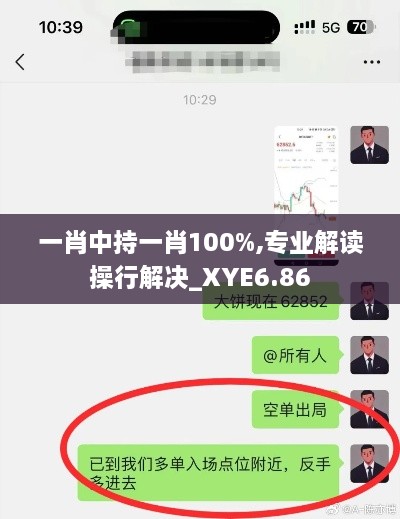 一肖中持一肖100%,专业解读操行解决_XYE6.86