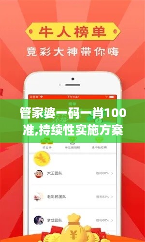 管家婆一码一肖100准,持续性实施方案_OMK6.40