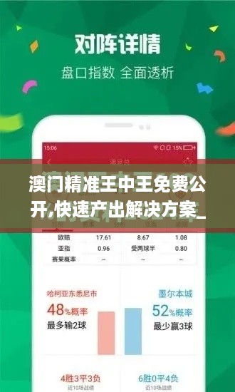 澳门精准王中王免费公开,快速产出解决方案_UEX6.33