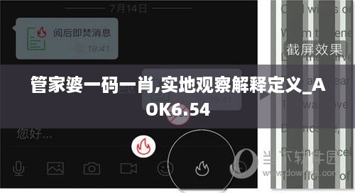 管家婆一码一肖,实地观察解释定义_AOK6.54