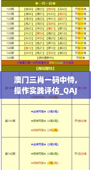 澳门三肖一码中恃,操作实践评估_QAJ6.50