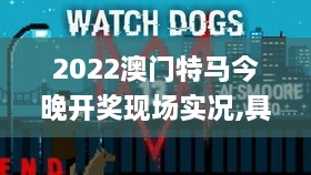 2022澳门特马今晚开奖现场实况,具象化表达解说_WXI6.32