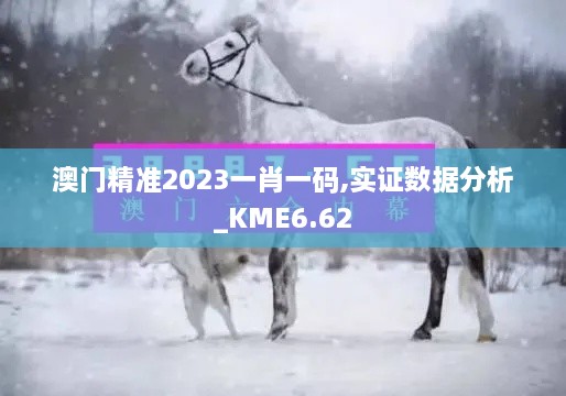 澳门精准2023一肖一码,实证数据分析_KME6.62