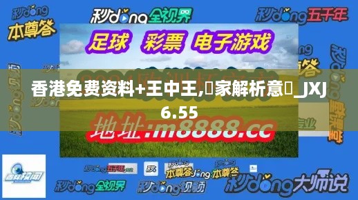 香港免费资料+王中王,專家解析意見_JXJ6.55