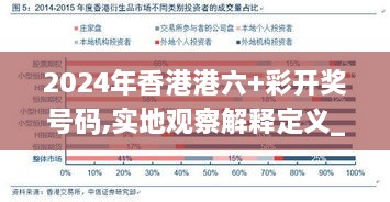 2024年香港港六+彩开奖号码,实地观察解释定义_GPT6.91