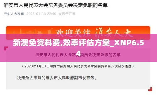 新澳免资料费,效率评估方案_XNP6.54