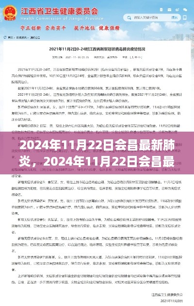 2024年11月22日会昌最新肺炎产品评测报告