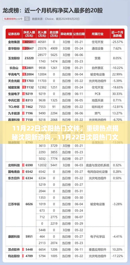 重磅揭秘，沈阳新动向深度解读，解析最新热门文件资讯