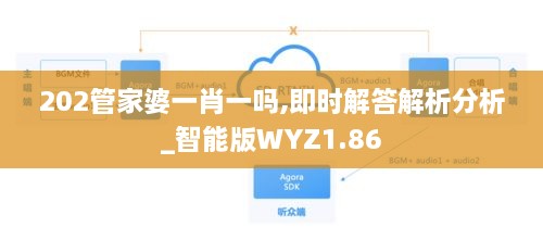 202管家婆一肖一吗,即时解答解析分析_智能版WYZ1.86