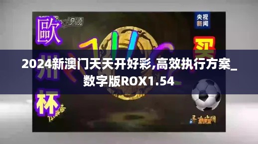 2024新澳门天天开好彩,高效执行方案_数字版ROX1.54