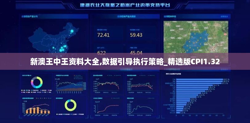 新澳王中王资料大全,数据引导执行策略_精选版CPI1.32