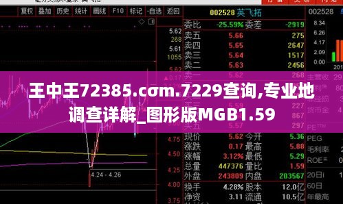 王中王72385.cσm.7229查询,专业地调查详解_图形版MGB1.59