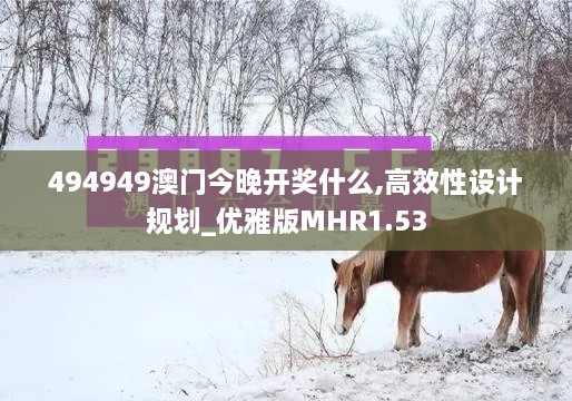 494949澳门今晚开奖什么,高效性设计规划_优雅版MHR1.53