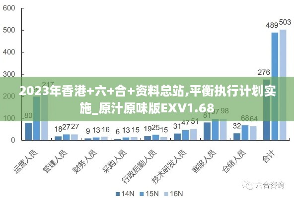 2023年香港+六+合+资料总站,平衡执行计划实施_原汁原味版EXV1.68