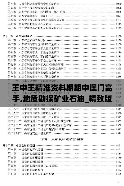 王中王精准资料期期中澳门高手,地质勘探矿业石油_精致版ICO1.65