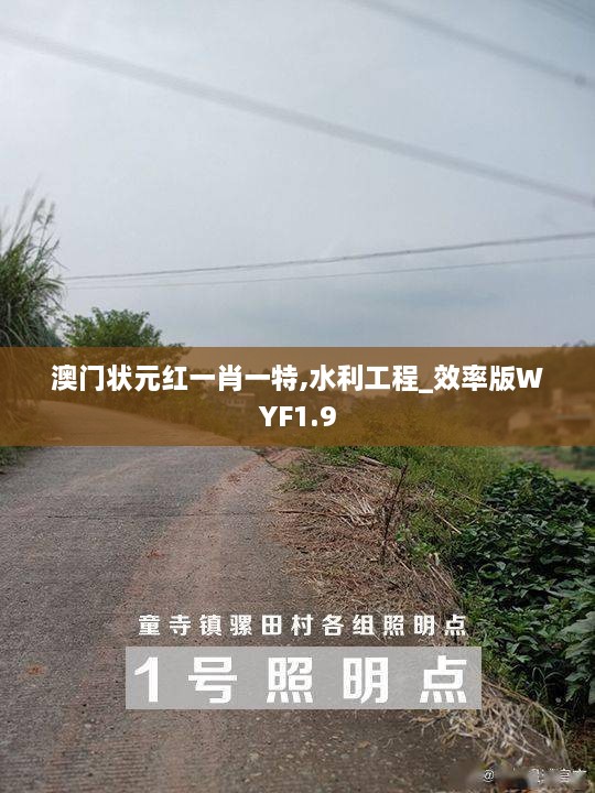 澳门状元红一肖一特,水利工程_效率版WYF1.9