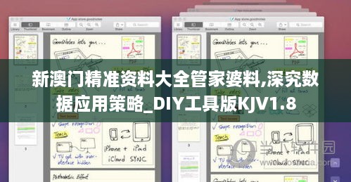 新澳门精准资料大全管家婆料,深究数据应用策略_DIY工具版KJV1.8